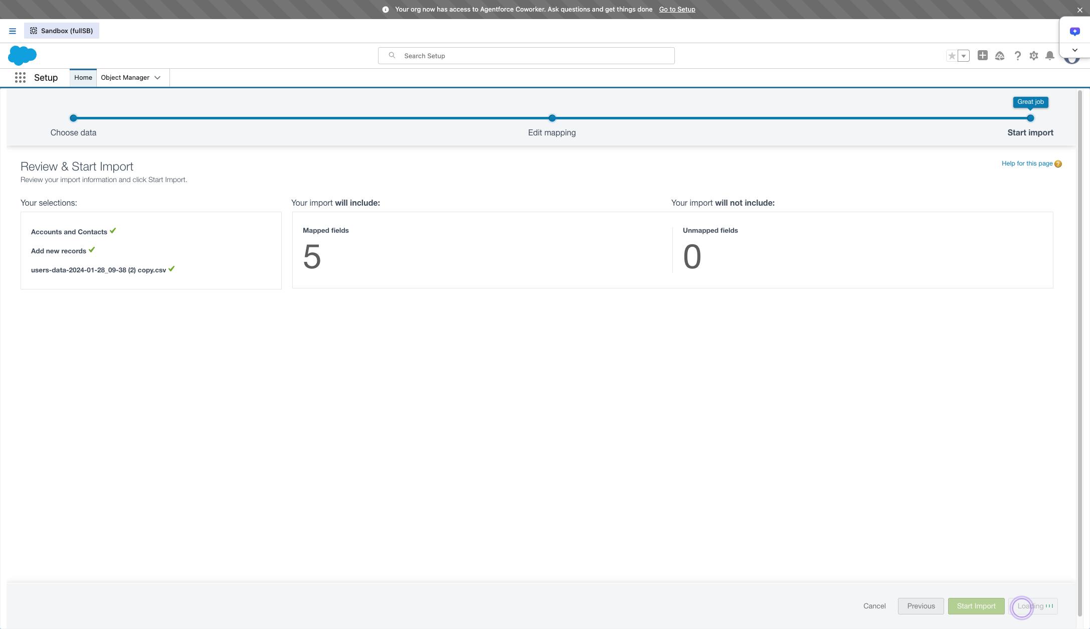 CSVファイルには、SFDCにインポートする項目が含まれています