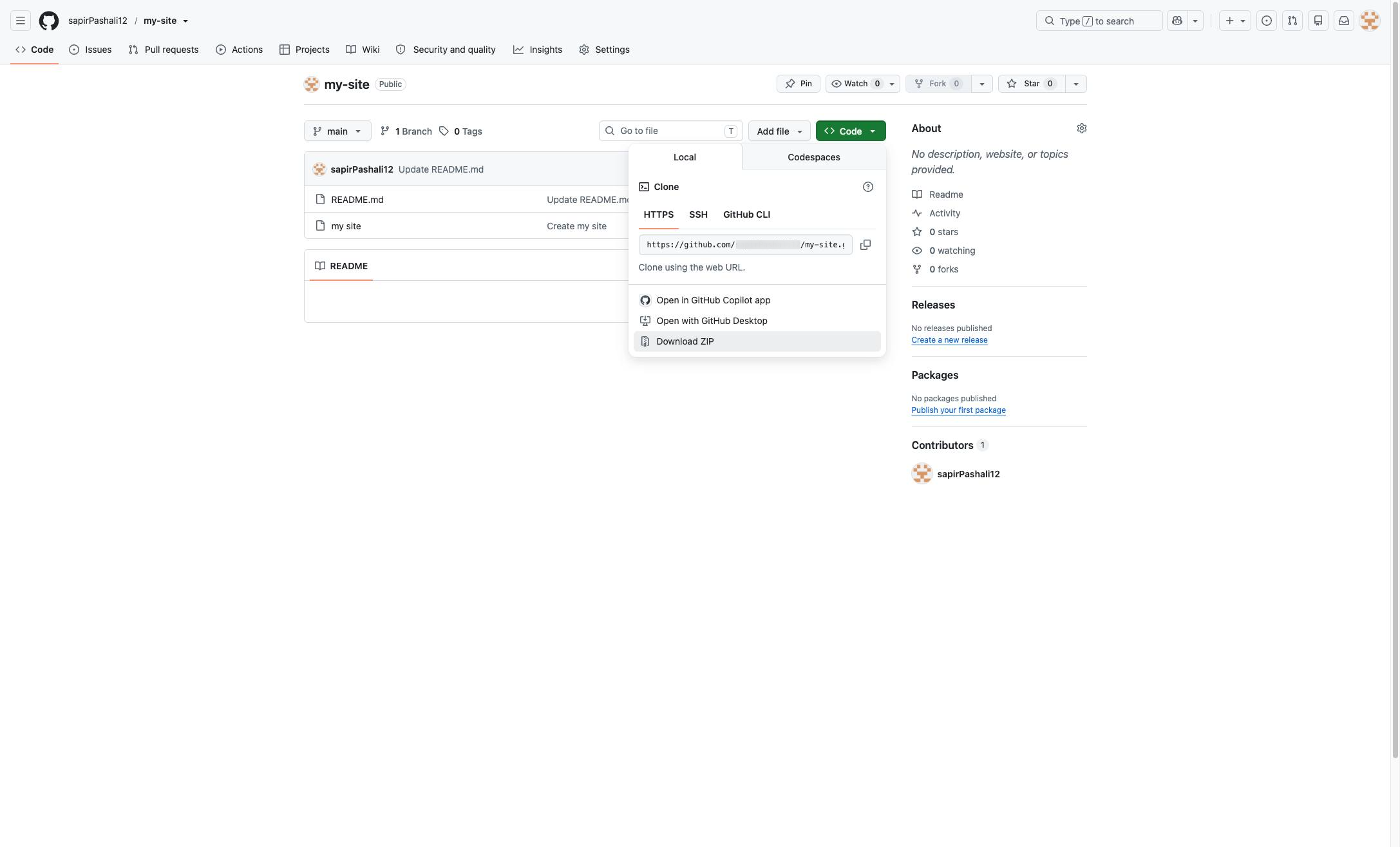 次に、ドロップダウンのオプションから「Download ZIP」を選択します。